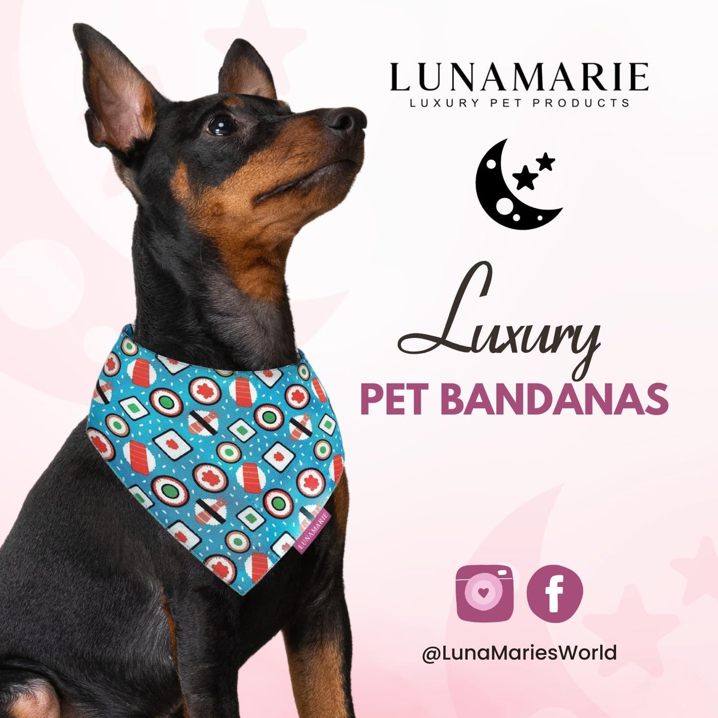 LunaMarie - Luxury Pet Birthday Bandanas -Premium & Silky Poly Fabric | 100% Handmade | Custom Shape Dual Layered (Sushi, Large)