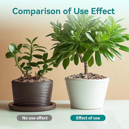 2.5 lbs Pebbles for Indoor Plants, Vase, Succulent, 3/8" Gravel for Plants, Pots Indoor, Bamboo Rocks for Bamboo Plants, Decorative Small River Rock, Highly Polished