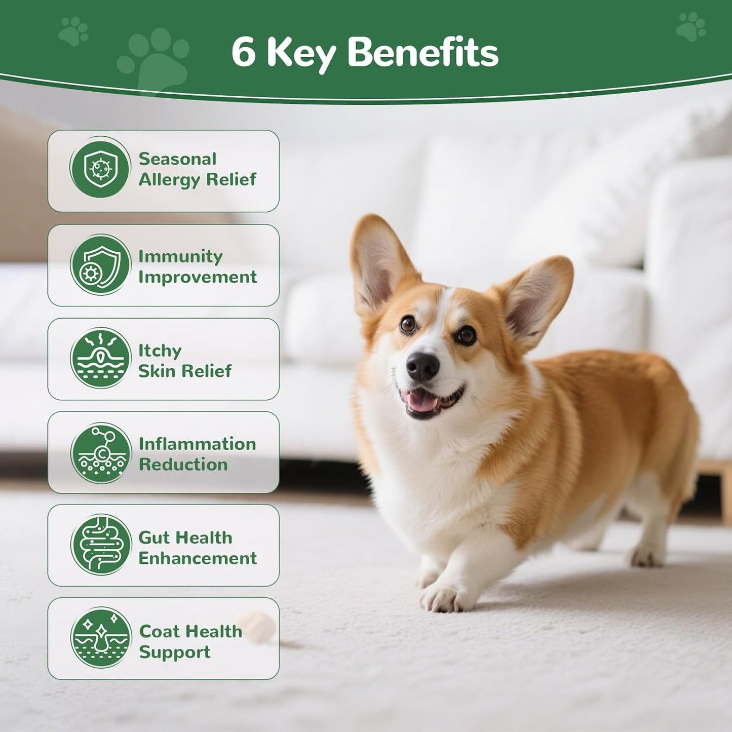 Dog Allergy Chews, 30PCS Dog Itching Skin Relief with Probiotics Omega 3, Allergy Relief for Dogs Itching Licking Paws, Support Seasonal Allergy, Gut & Digestive Health and Immune System