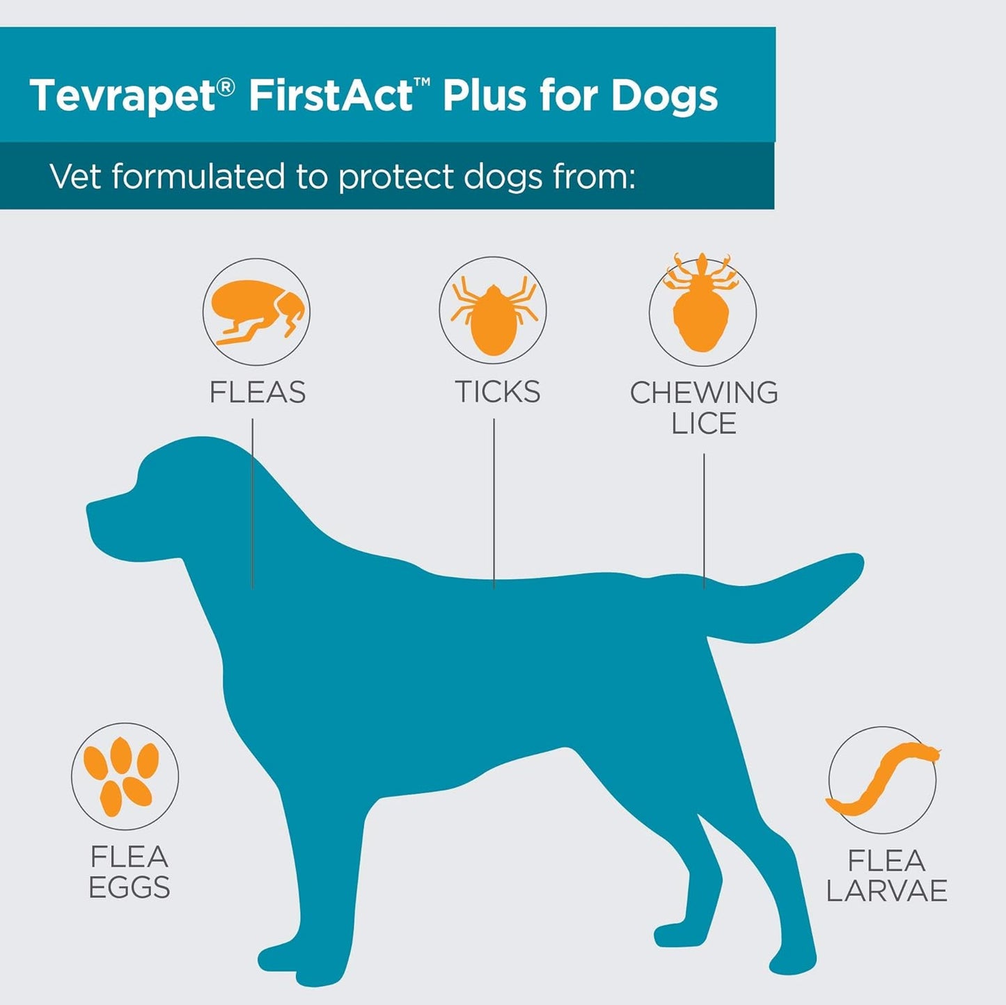 FirstAct Plus Flea Treatment for Dogs, Small Dogs 6-22 lbs, 3 Doses, Same Active Ingredients as Frontline Plus Flea and Tick Prevention for Dogs