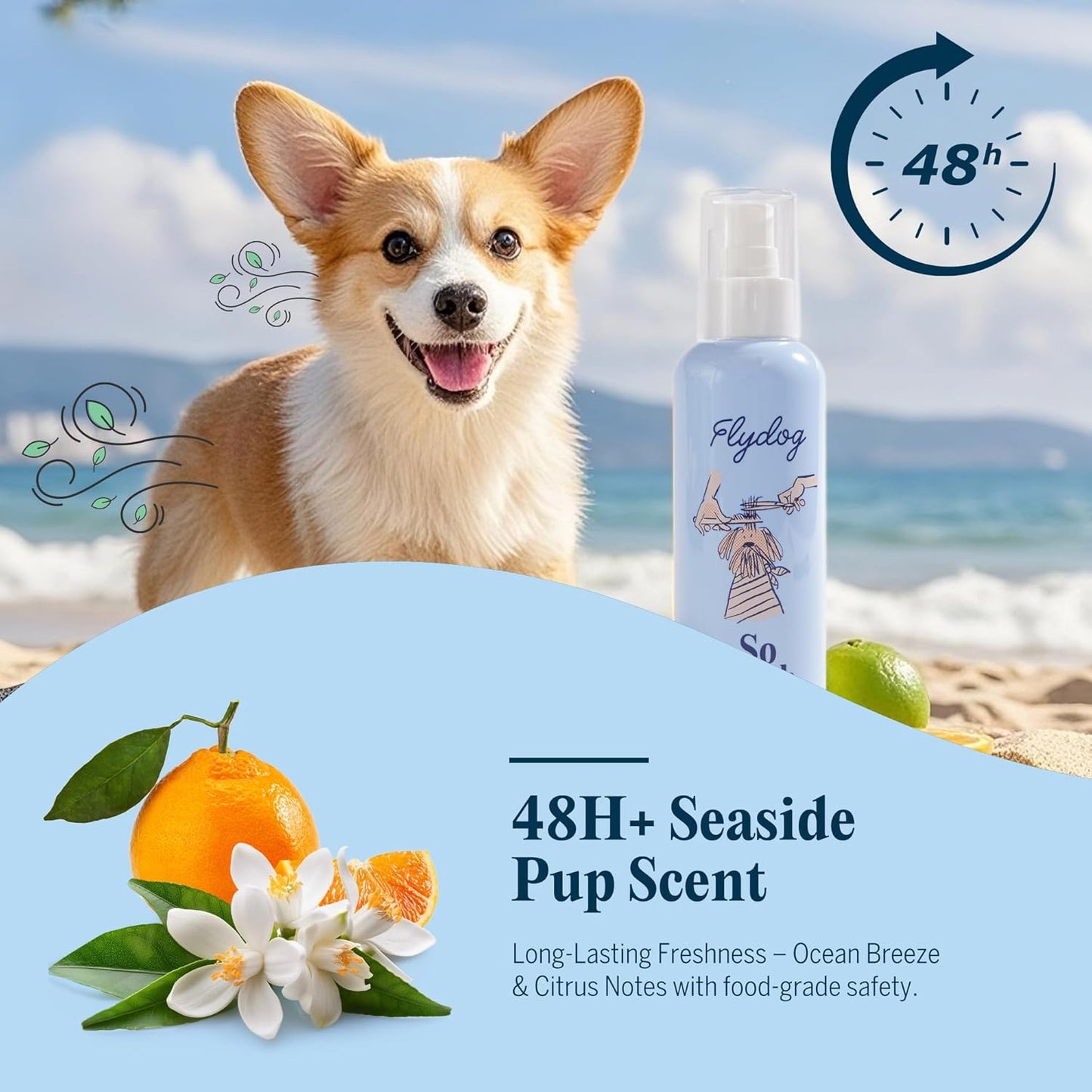 FlyDog Detangler Combo for Dogs & Cats – Leave-in Hair Detangler Spray for Tangle-Free Grooming & Tailored Comb for Dematting & Deshedding | Coat Conditioner | Deodorizing & Long-Lasting Freshness