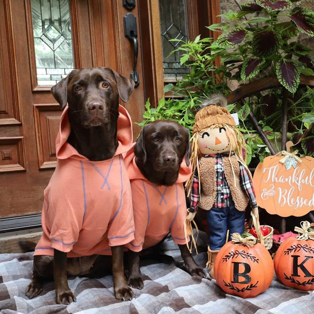 Blueberry Pet Essentials Dog Hoodie – 24 inch, Cotton‑Blend Sweatshirt with Hood, Coral, Machine‑Washable Small‑Dog Jersey