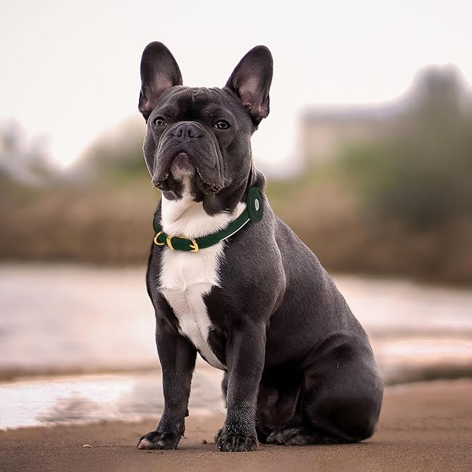 OOPSDOGGY Rolled Leather Dog Collar with Airtag Holder - Reflective Round Airtag Dog Collar - Soft Tracking Pet Collar for Small Dogs Puppy Cats Kitten (Green, XXL, 20"-24")