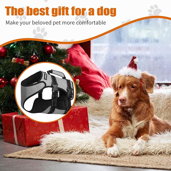 Ayquez Dog Lift Harness with Storage and Transport Bag, Dog Harness with Handle for Lifting & Hip dysplasia, arnés para Perros pequeños, pechera para Perros Gray, S