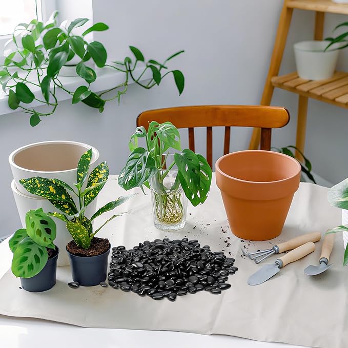 Mr. Fireglass 5 lbs Black Pebbles, 3/8" Natural Decorative Polished River Rocks Aquarium Gravel for Indoor Plants, Vases, Succulents and Outdoor Garden Landscaping