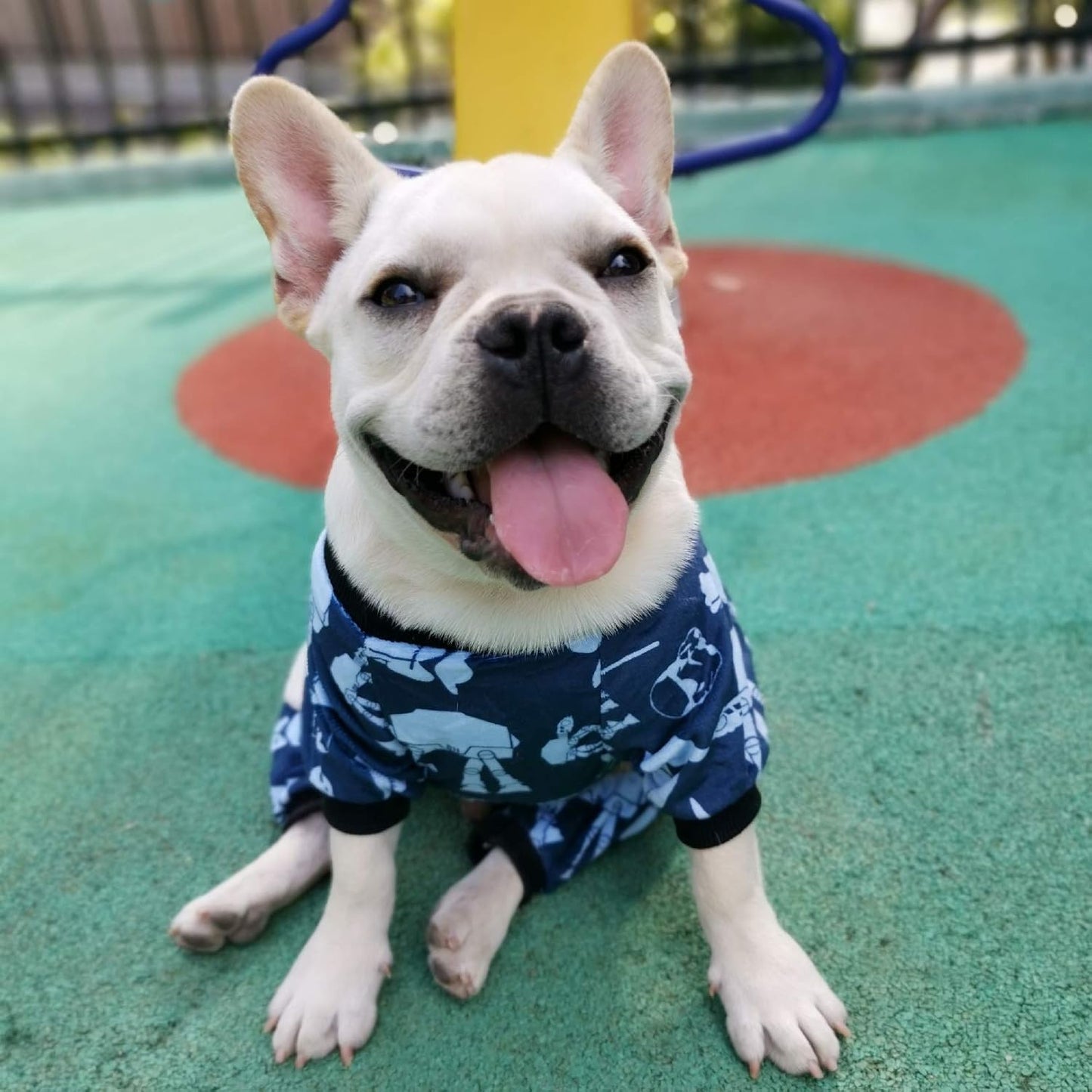 CuteBone Small Dogs Outfit Soft Puppy Onesies Pjs Dog Pajamas Pet Coat Cat Apparel Comfy Doggie Jumpsuit Bodysuit for All Seasons P47XL