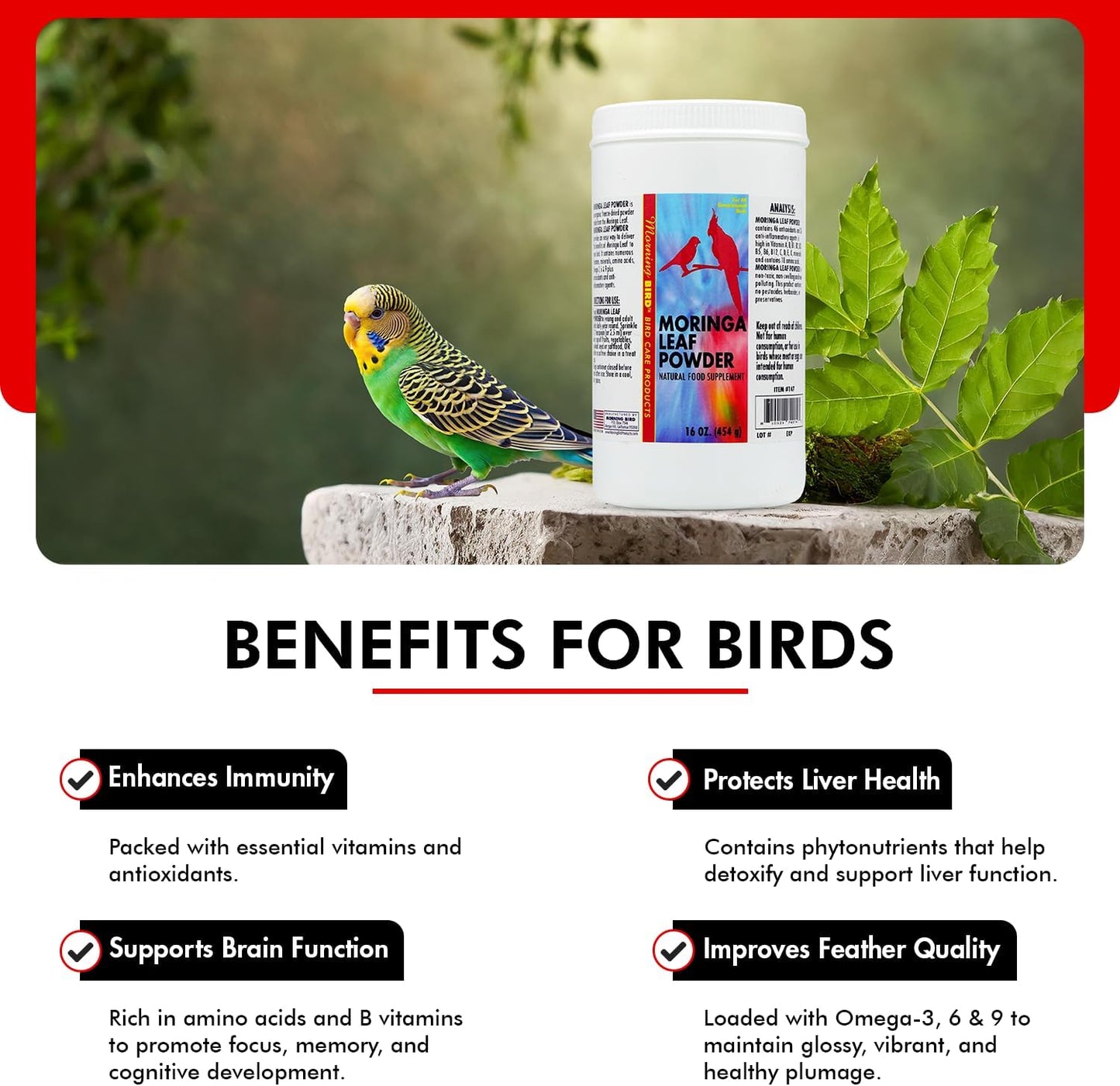 Morning Bird Moringa Leaf Powder 16 Oz – Natural Food Supplement with Omega-3, Iron, Vitamins B & K – Supports Detox, Energy, Brain & Immune Health – Clean Plant-Based Supplement for All Birds