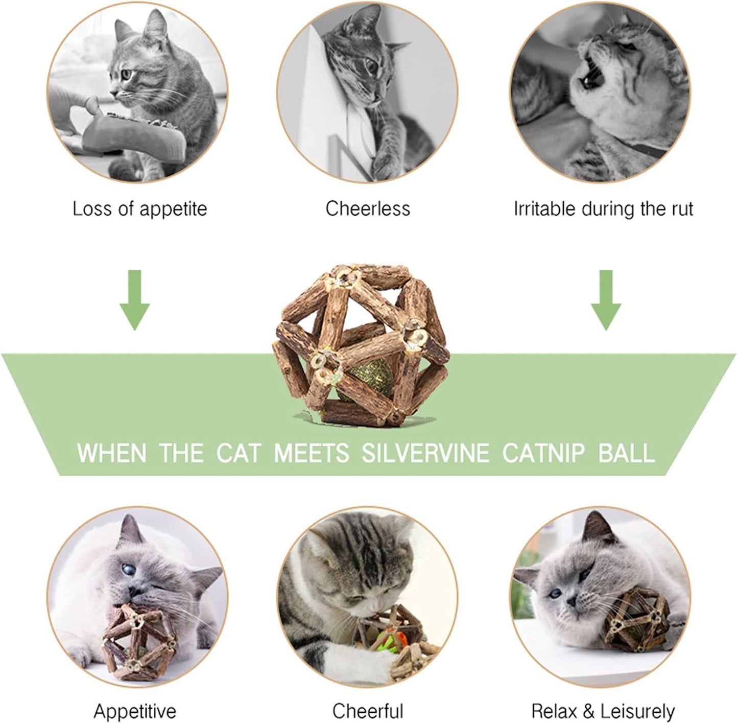 Catnip Toys-2Pcs Natural Silvervine Stick Catnip Ball&Bell Ball-Cat Toys for Indoor Cats- Cleaning Teeth Molar Tools Matatabi Cat Chew Toy-Kitten Toys All Breeds