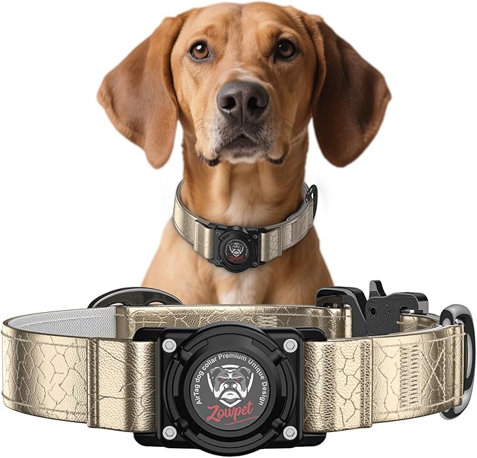 Airtag Dog Collar - Leather Dog Collar with Airtag Holder| IP68 Waterproof AirTag Holder with Metal Buckle, Comfortable GPS Dog Collars Tracker for Medium Large Dogs (Champagne Gold, XL)