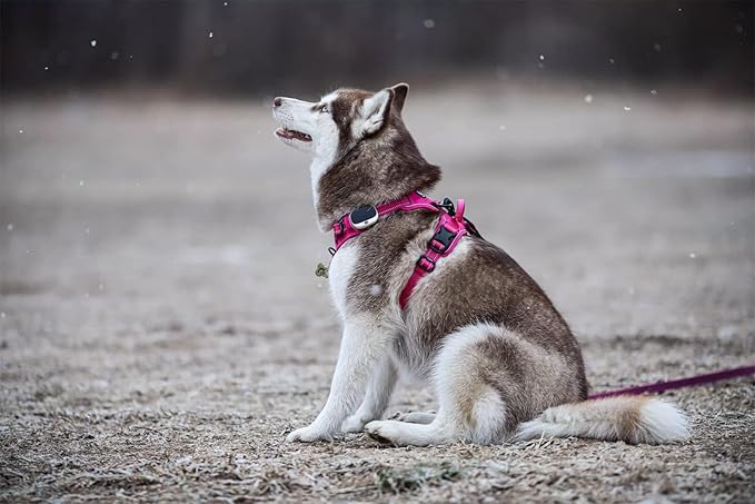 TRUE LOVE Adjustable No-Pull Dog Harness Reflective Pup Vest Harnesses Comfortable Control Brilliant Colors Truelove TLH5651(Fushcia,L)