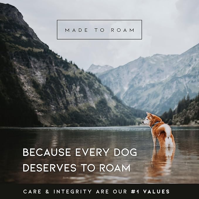 MADE TO ROAM Premium Explorer Harness - Y-Shaped Dog Harness with Adjustable Durable Nylon, Soft Padding, Metal Buckles and Leather Handle for Small, Medium, Large Dogs (Virginia Mountains, Size 5)