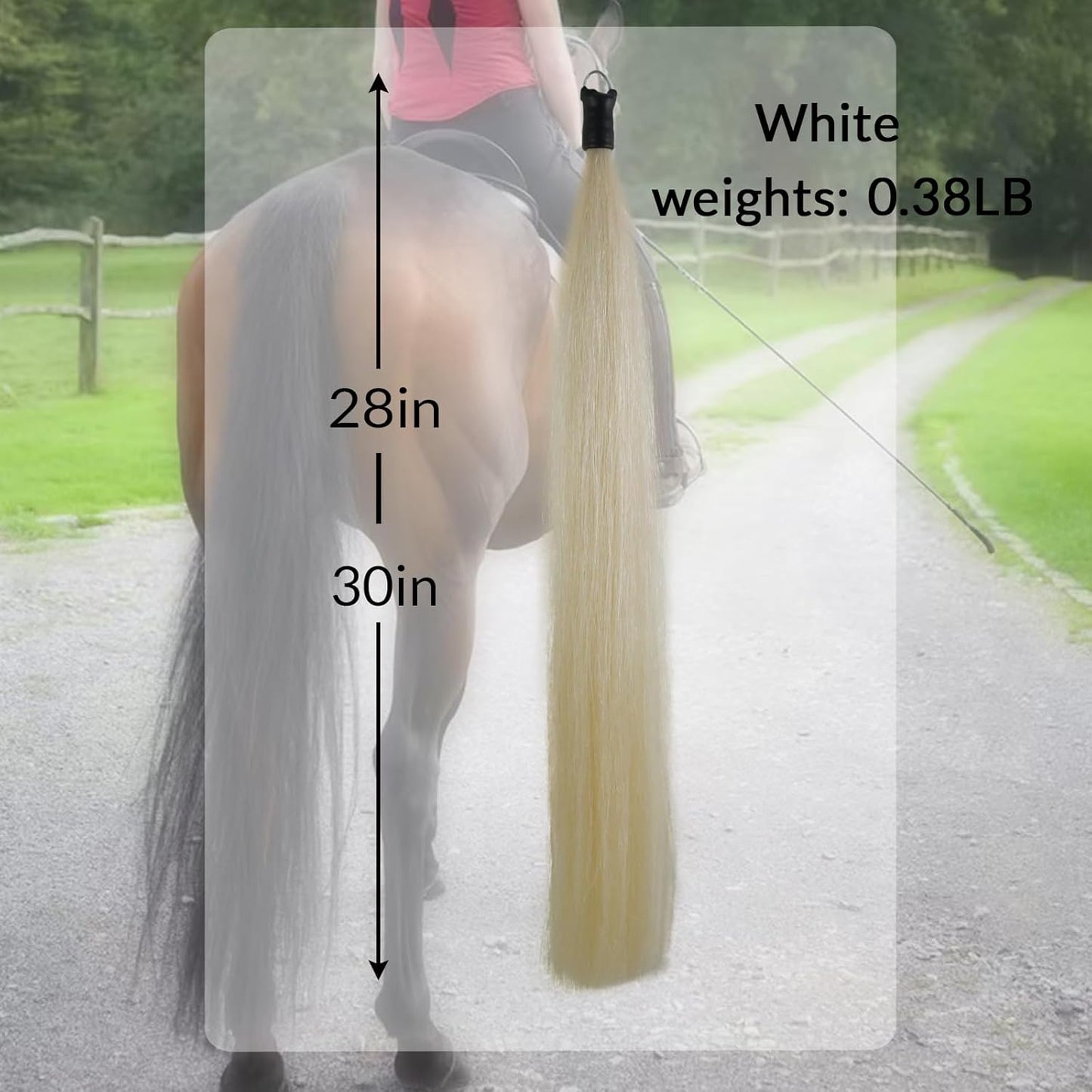 Horse Tail Extension with Braided Horsehair Loop, Blunt Cut Bottom, 3/8 lb, 28-30 inches (Pure White)