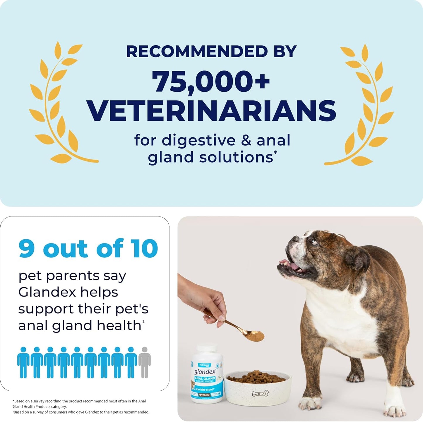 Vetnique Labs Glandex Dog Fiber Supplement Powder for Anal Glands with Pumpkin, Digestive Enzymes & Dog Probiotics for Digestive Health - Vet Recommended - Boot The Scoot (Beef Liver, 4.0oz Powder)