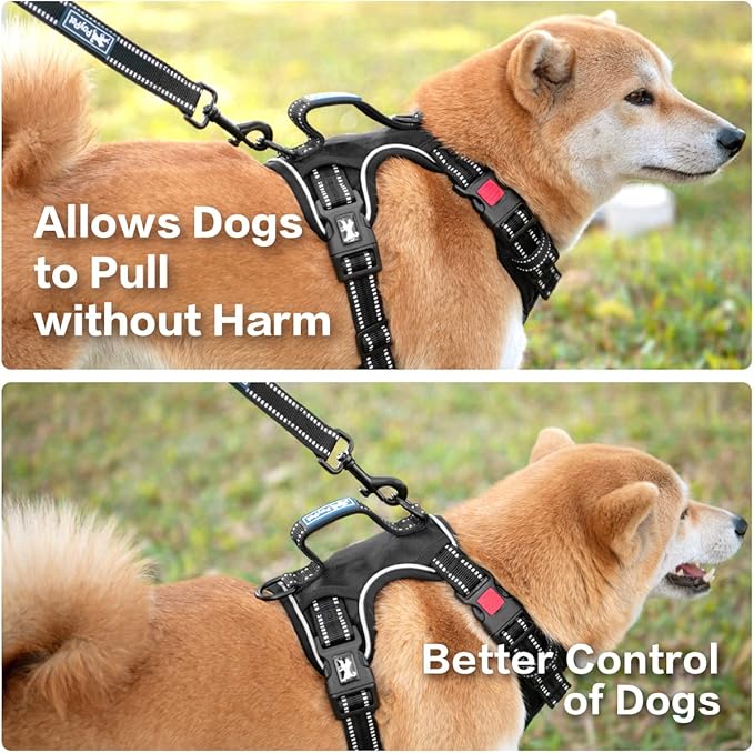 PoyPet No Pull Dog Harness, No Choke Front Clip Reflective Dog Vest with Soft Padded Vertical Handle, 3 Leash Attachments for Small Medium Large Dogs (Black,XL)