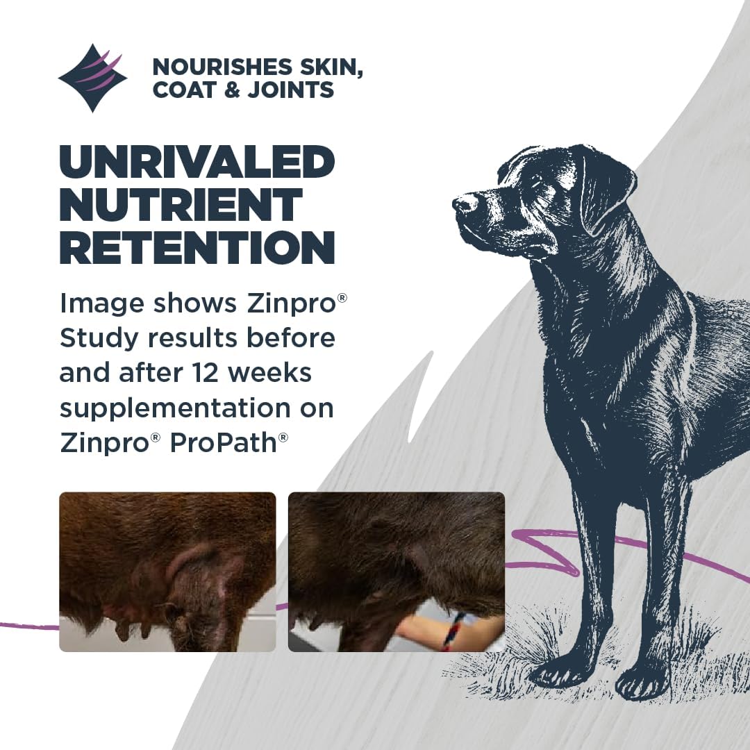 Blackwood Sensitive Skin & Stomach Dry Dog Food, Salmon Meal & Brown Rice with Ancient Grains, 4.5 Pound Bag with Prebiotics & Probiotics to Promote Gut Health