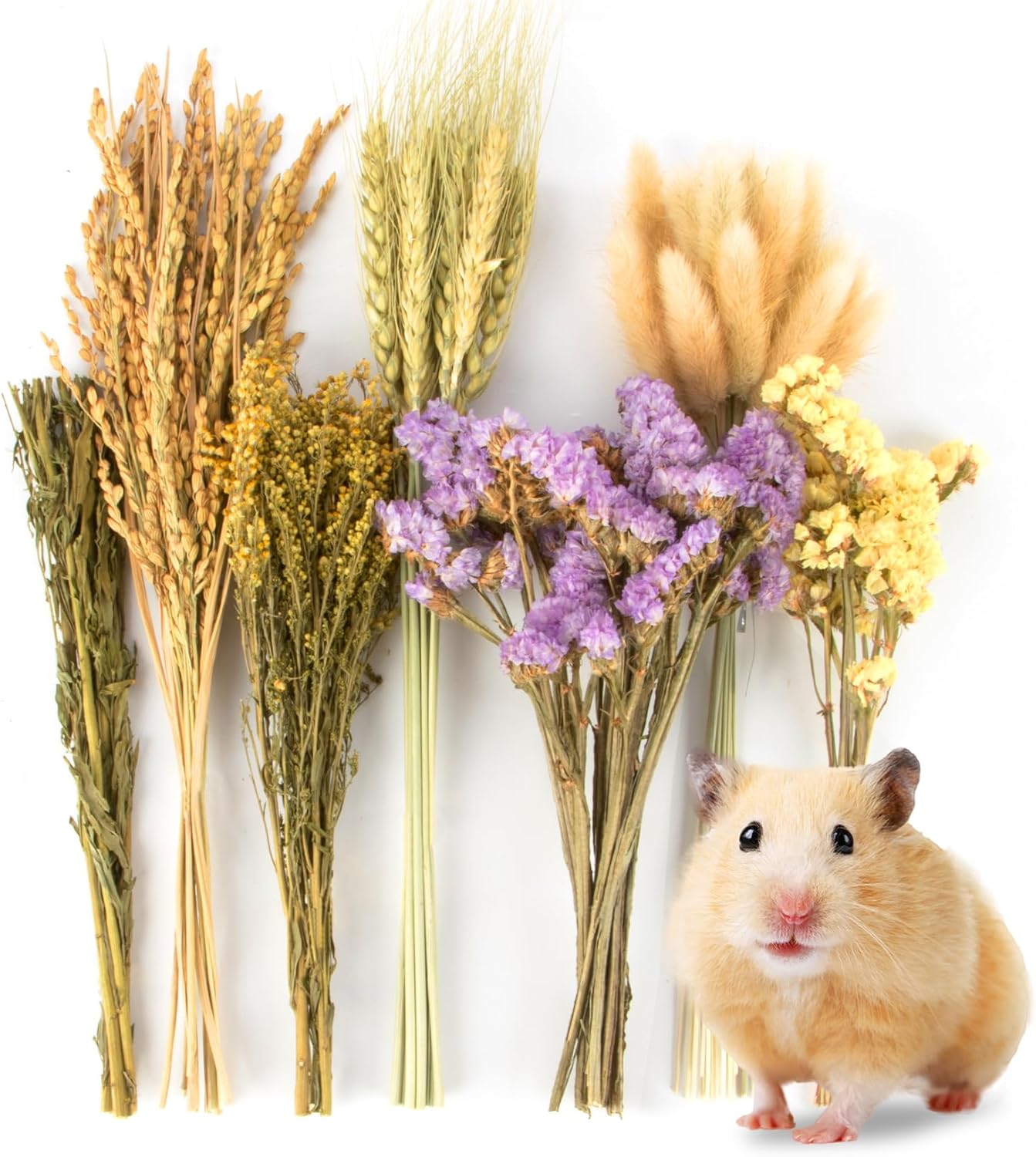 Sukh Nature Flower Herb Hamster Bedding Cage Enclosure Habitat Decor Mate Small Animal Natural Ear of Grain Sprays for Syrian Dwarf Hamsters Gerbils Rabbit Other Pets