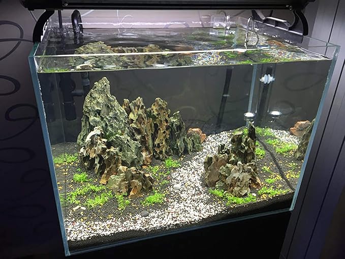 Natural Stone Aquarium Decoration 8.8lb Dragon Stone Rock Mixed Sizes for Micro Landscape Fish Tank Decor