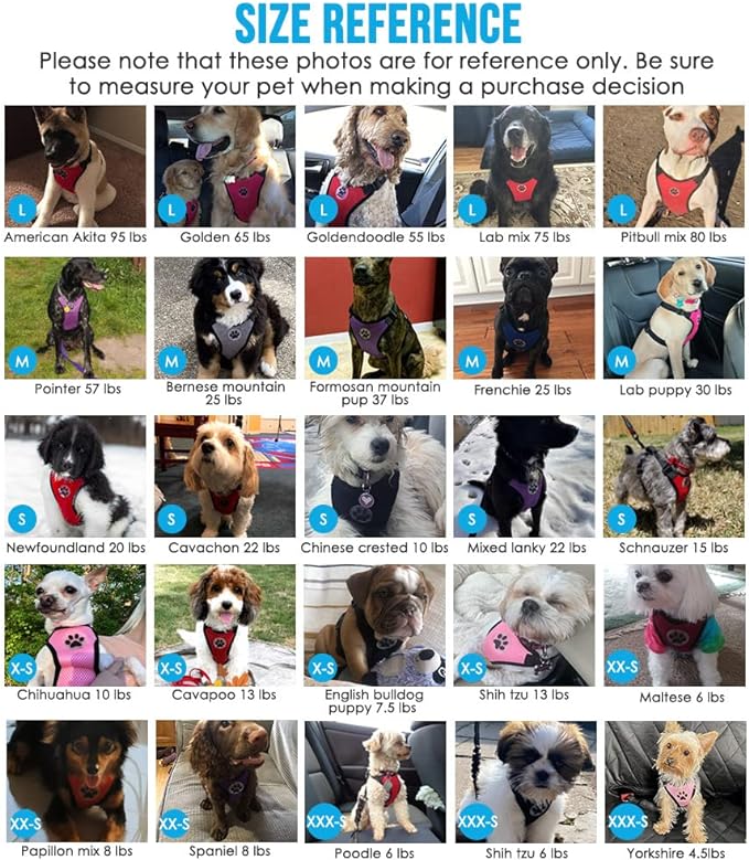 Lukovee Dog Seat Belt for Car, Adjustable Dog Car Harness for Large Medium Small Dogs, Soft Padded & Breathable Mesh Dog Seatbelt with Car Strap and Carabiner(Purple Double Clip,XX-Small)