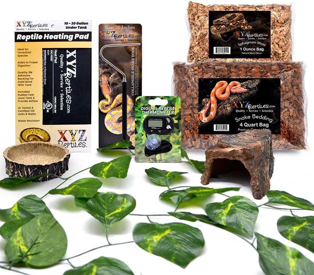 Boa Constrictor Habitat 10 Gallon Terrarium Kit
