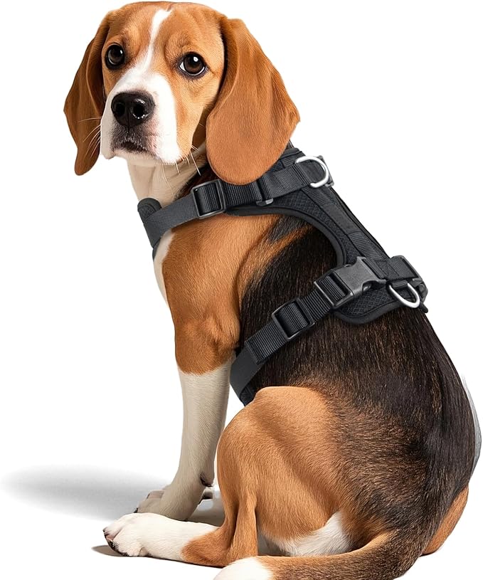 Wisedog Mesh Breathable Dog Harness: No Pull Harness with 3 Fast-Release Buckles Adjustable for Walking & Training for Small Medium Large Dogs (Black, L: Neck=20"-25"/Chest=17"-33")