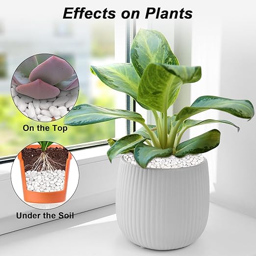 Aquarium Gravel,Landscaping Pebbles, Decorative Ornamental Pebbles Garden,Landscaping Stones Gravel Filler for Home Decoration Flower Bed Fish Tank Plants Vases Succulents (10 Pounds, White)