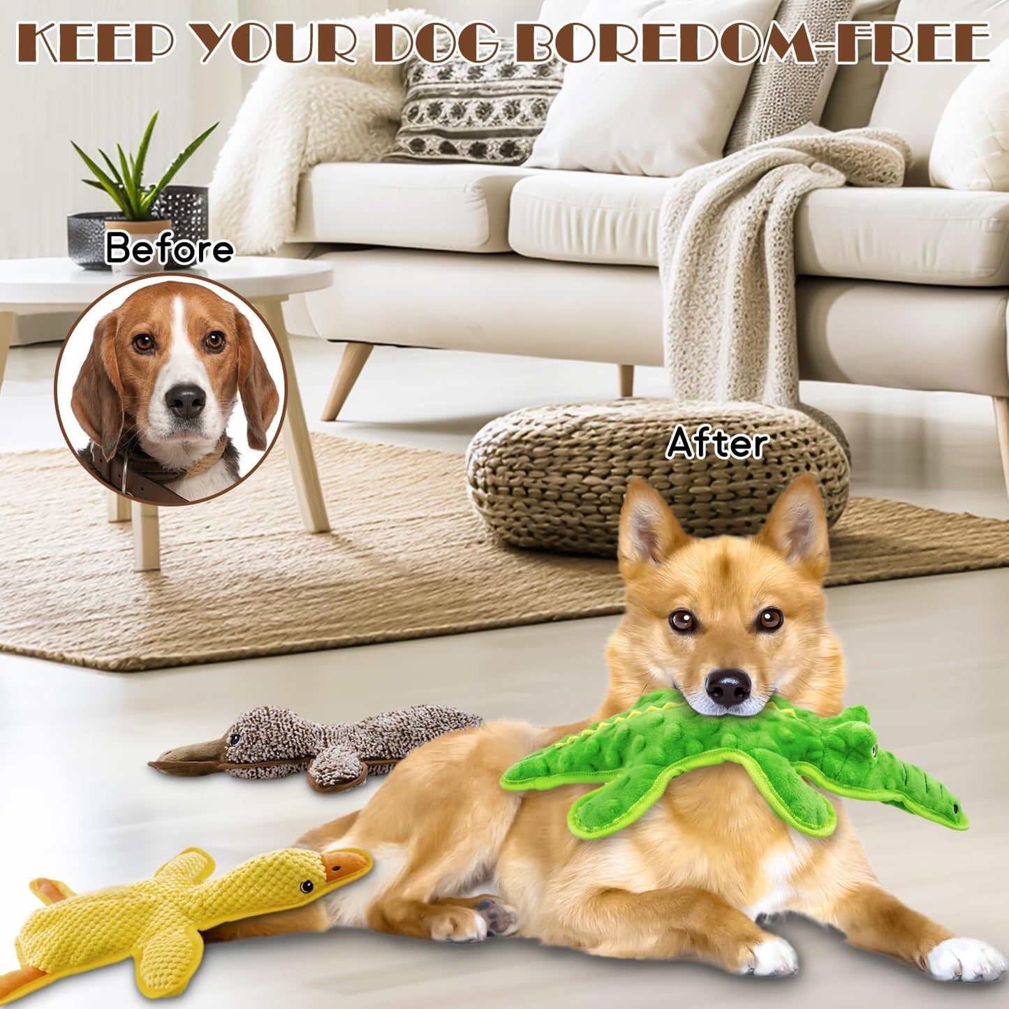 No Stuffing Dog Squeak Toys-3 Pack Chew Toys for Small Medium Large Breed- Durable Puppy Teething Interactive to Keep Them Busy- Best Birthday Gift