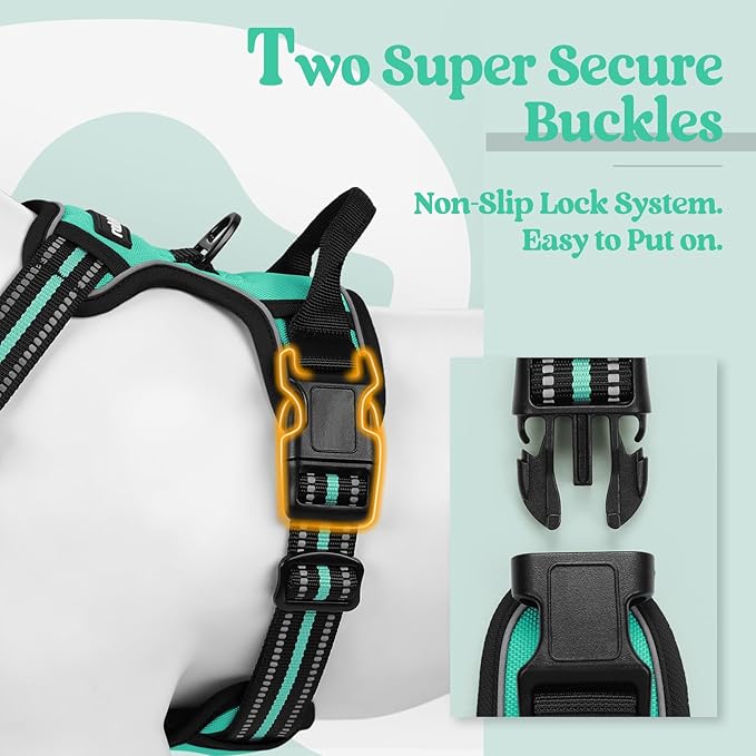rabbitgoo Dog Harness No Pull with 2 Leash Clips, Adjustable Soft Padded, Reflective Oxford No Choke Pet Vest with Easy Control Handle for Large Dogs, Turquoise, XL