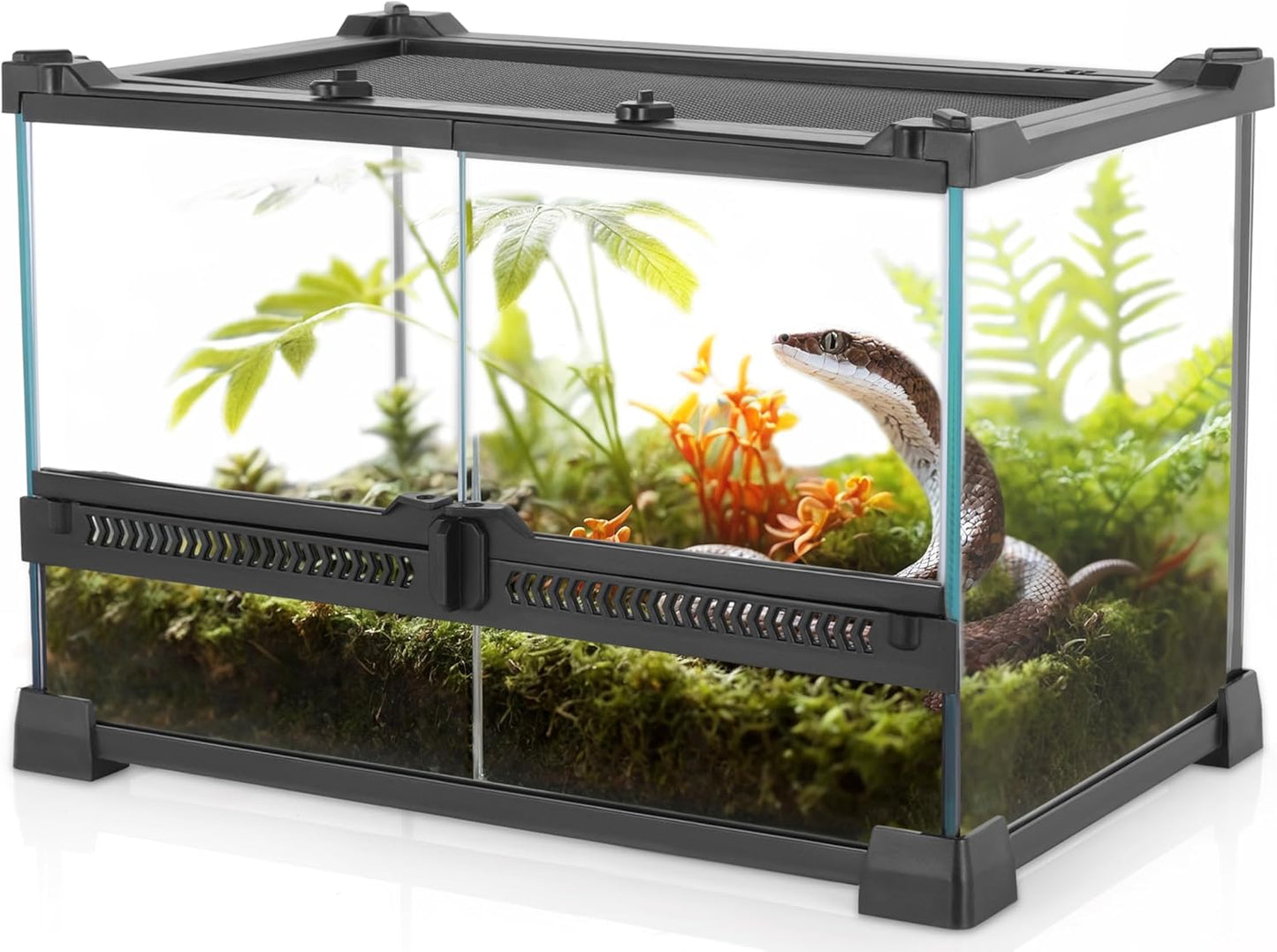 Mini Reptile Glass Terrarium 12"x8"x8" Durable Reptile Habitat Tank with Heat Resistant Aluminum Alloy Frame, Double Swinging Doors for no Jam by Sand and Other Debris