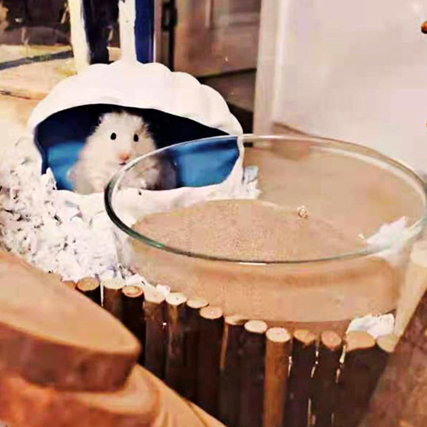 DR.DUDU Hamster Bath Sand, 12lb Dust Free Desert Sand or Potty Litter Sand for Hamster Chinchillas Gerbil Syrian Mice Small Animals (Beige)