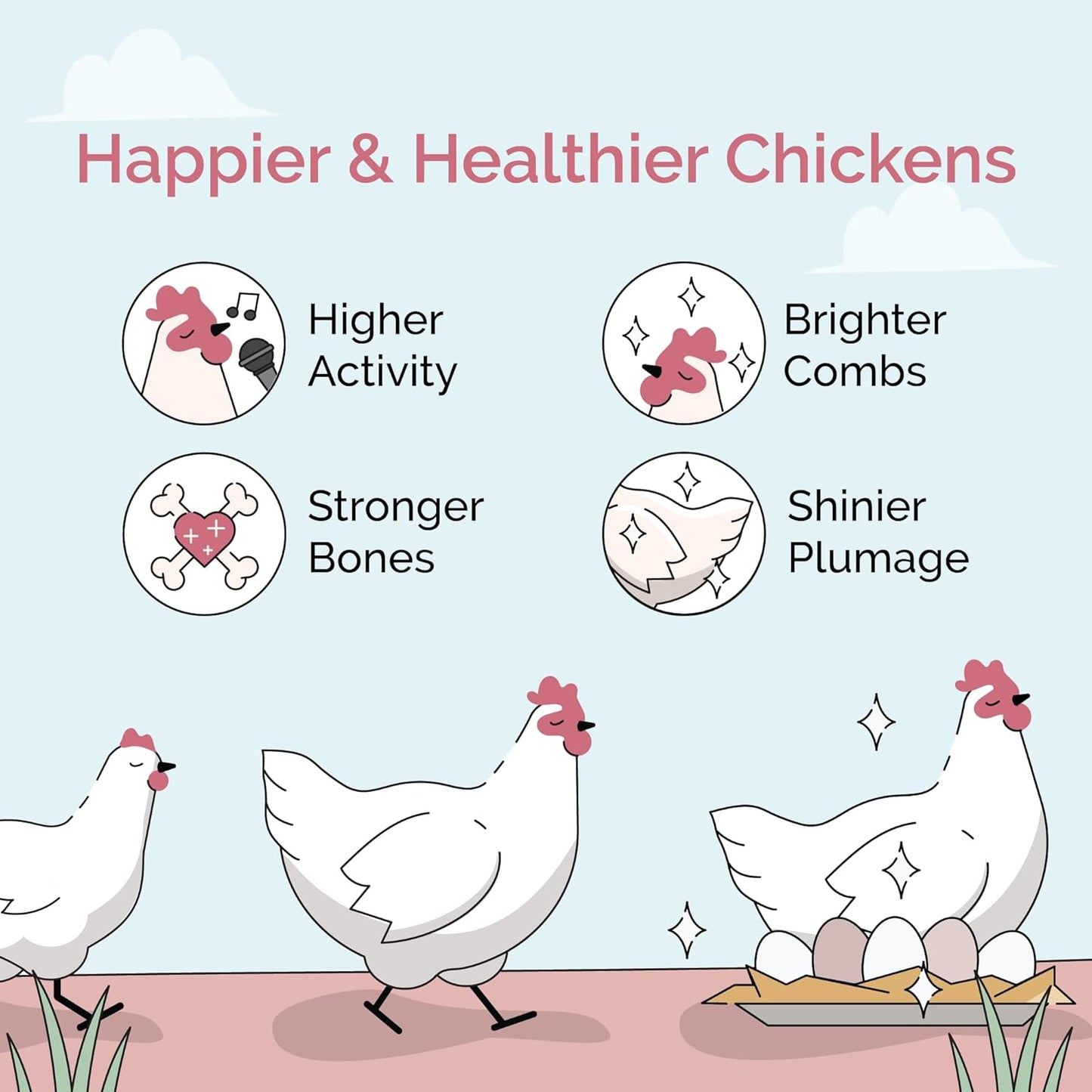 Organic Chicken Feed – Layer Mash, Non-GMO, USA Grown, 16% Protein, Corn-Free, Soy-Free, Non-Medicated Feed for Chickens, 46 lbs