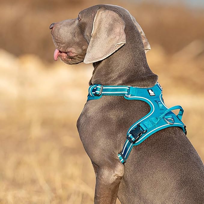 TRUE LOVE Dog Harness No Pull Nylon Reflective Pet Harness Adjustable Comfortable Control Step-in Brilliant Colors Truelove TLH56512 Blue