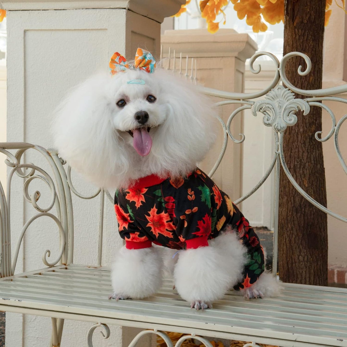 CuteBone Dog Halloween Pajamas Puppy Onesies Small Dogs Soft Pjs Coat Cat Apparel Comfy Pet Christmas Clothes Outfit Doggie Bodysuit P265S