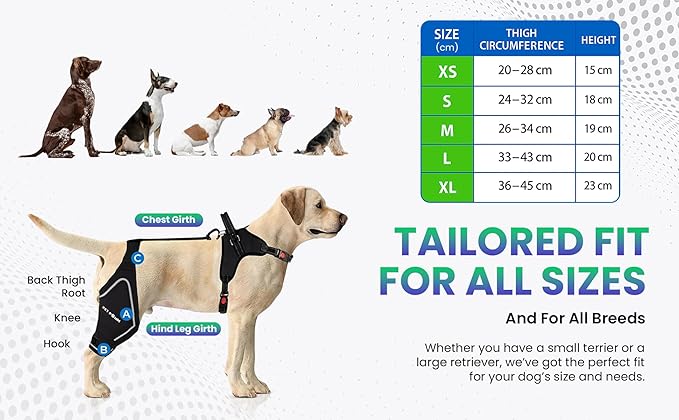 Petpanm- Adjustable Dog Knee Brace- Right Hind Leg with Integreted Harness- Premium Support for Torn ACL, Sprains & Strains Recovery, Enhances Mobility, Comfortable Neoprene - (XLarge).