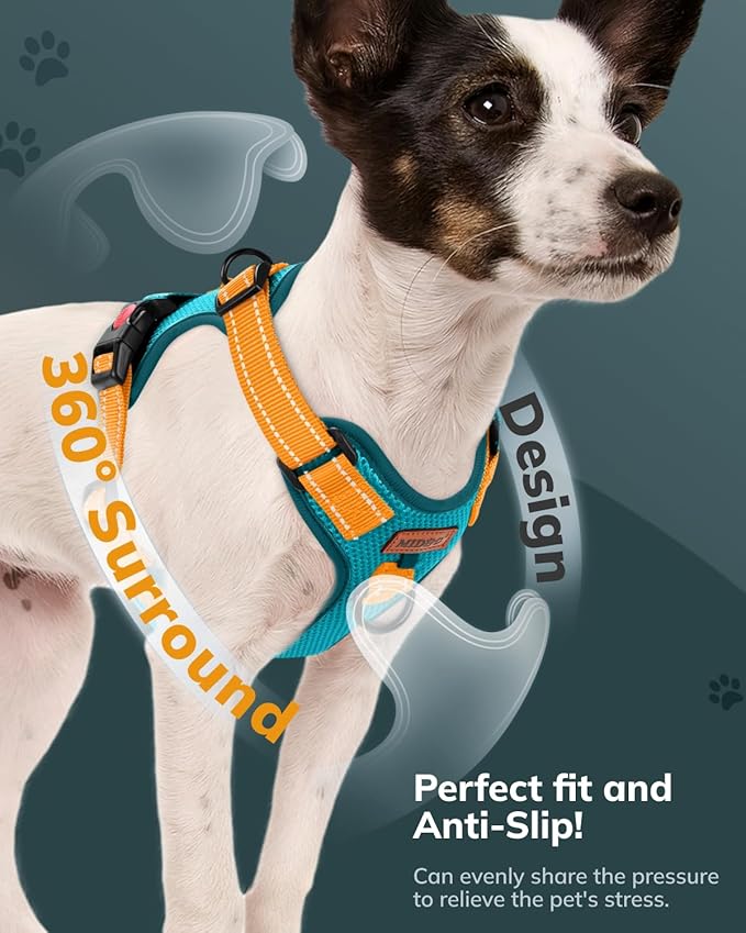 MIDOG No-Pull Dog Harness | Adjustable & Reflective Pet Harness Leash Set for Small Medium Large Dogs Walking, Training| No Choke, Front Clip, Soft Padded Vest with Easy Control Handle - Blue, L