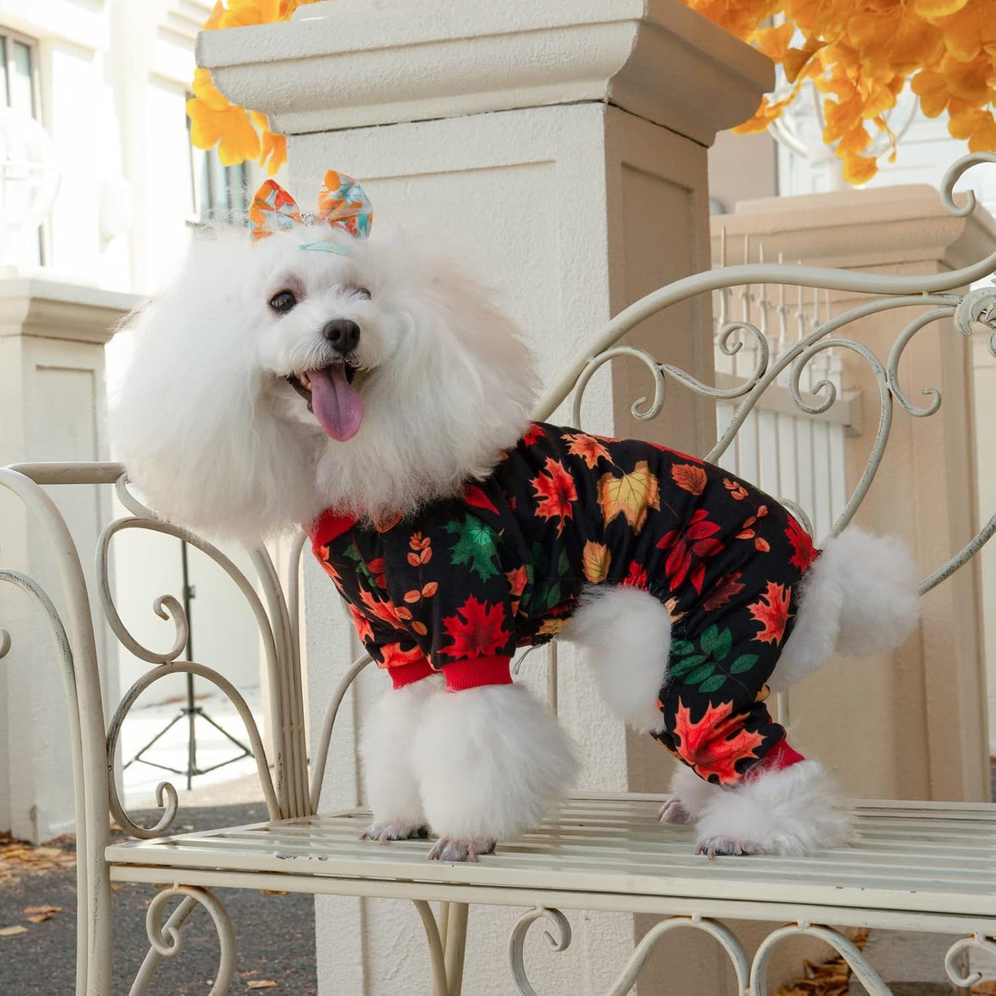 CuteBone Dog Halloween Pajamas Puppy Onesies Small Dogs Soft Pjs Coat Cat Apparel Comfy Pet Christmas Clothes Outfit Doggie Bodysuit P265S