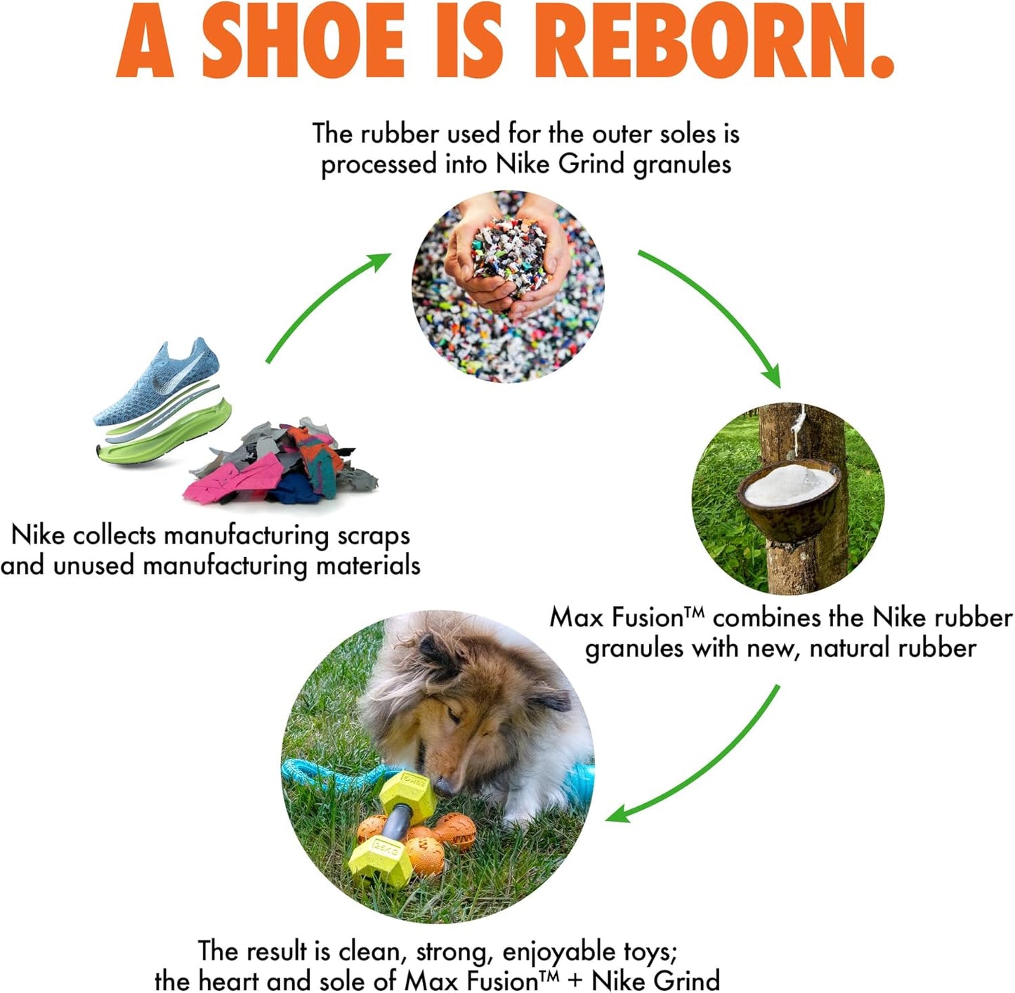 Max Fusion with Nike Grind, Arlee Twisted Dog Toy, Chew Toy for Play, Fetch, Tug, XL