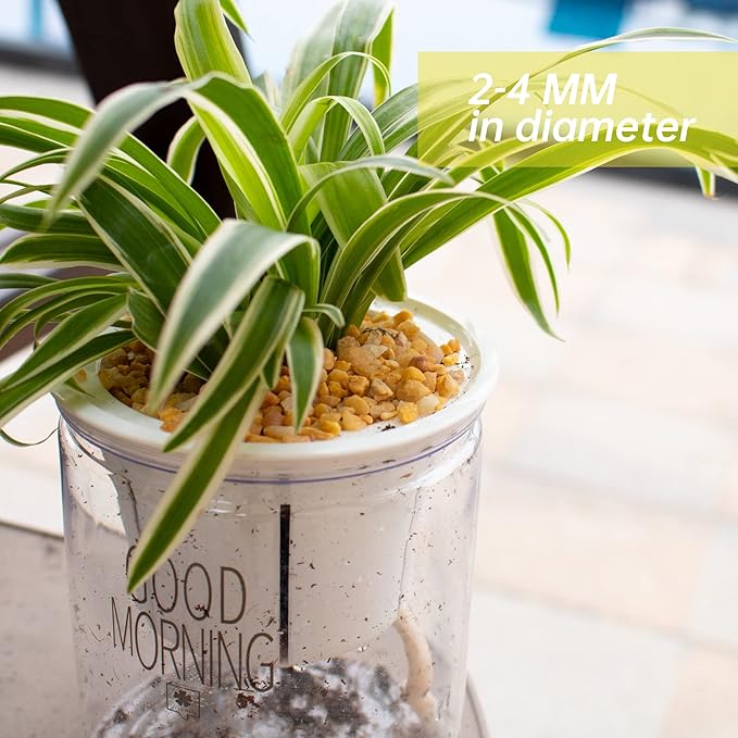 18lb Cactus Pea Gravel Rocks,1/5 Inch Pebbles for Indoor Plants, Natural Succulent Rock and River Rocks Decorative for Aquariums, Vases, Terrarium, Outdoor Gardening, Top Dressing for Potted Plants