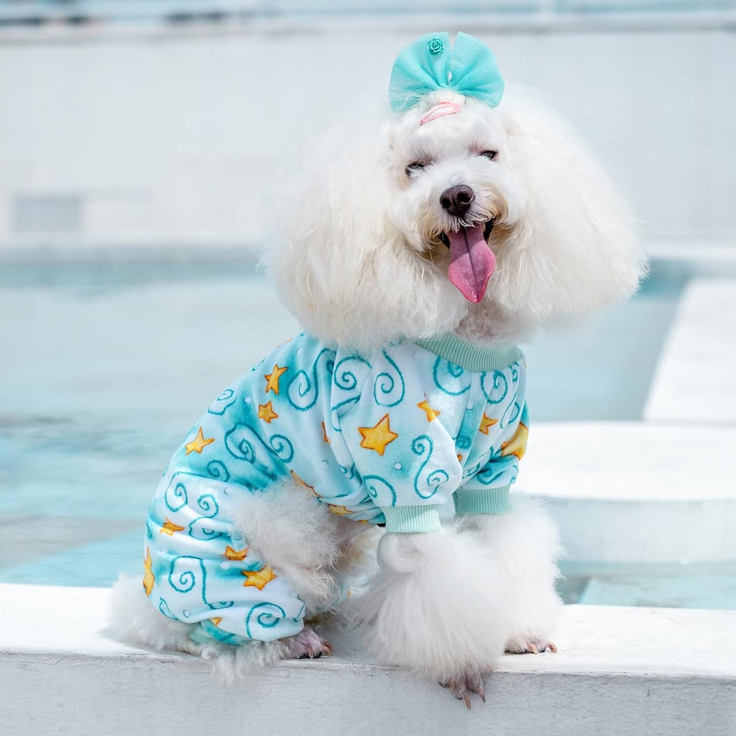 CuteBone Small Dogs Outfit Soft Puppy Onesies Pjs Dog Pajamas Pet Coat Cat Apparel Comfy Doggie Jumpsuit Bodysuit for All Seasons P279L