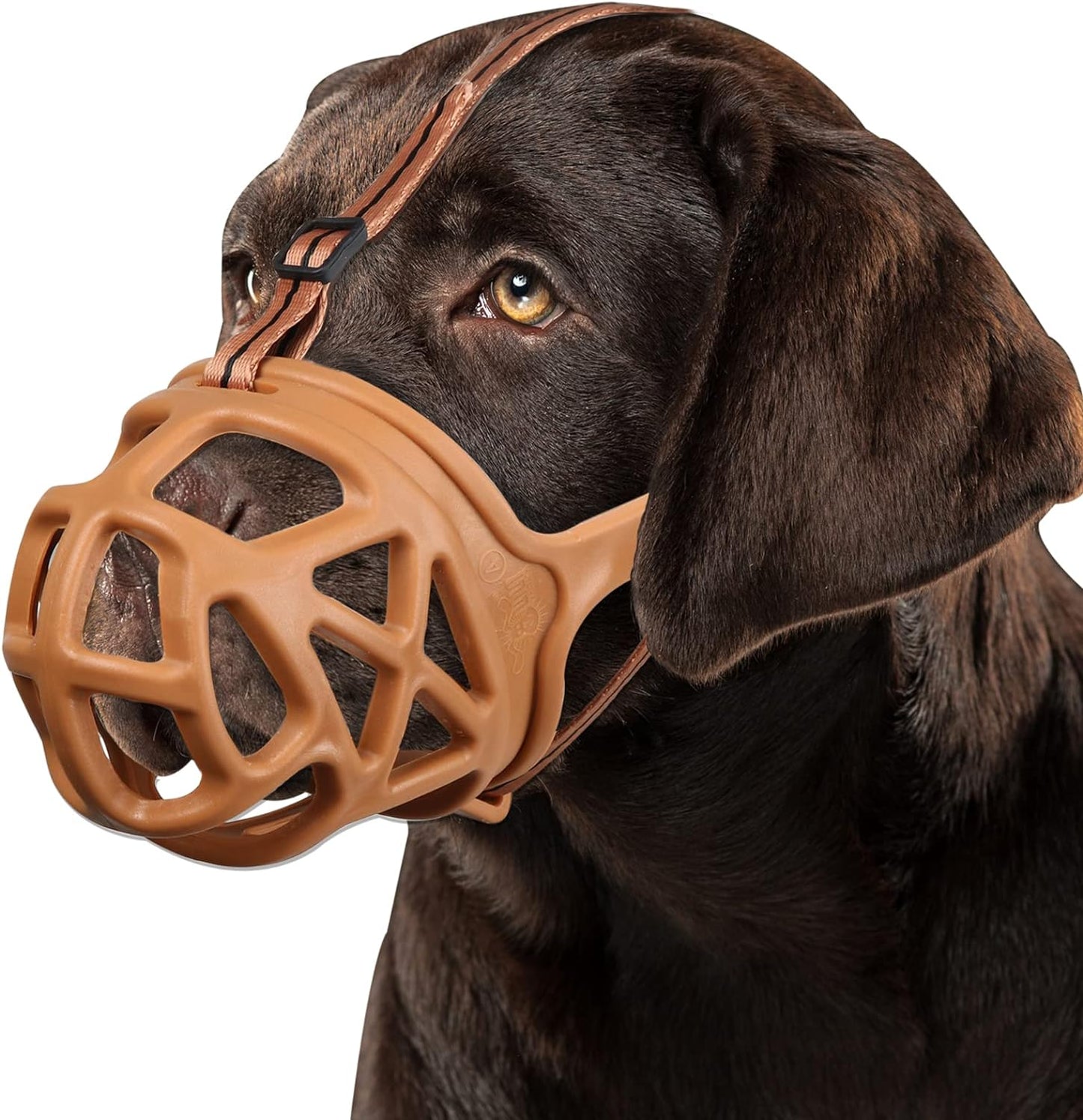 BARKLESS Dog Muzzle, Basket Muzzle for Biting, Chewing and Scavenging, Humane Cage Mouth Cover, Perfect for Grooming and Training Large Aggressive Reactive Dogs (XL, Brown)