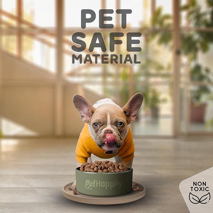 Dog Food Mat Round 10" - Raised Edges Dogs Mat for Food and Water Prevent Spill, Waterproof Cat Food Mats Protect Floors, Easy Clean Dog Bowl Mats for Food and Water, Silicone Pet Feeding Placemats