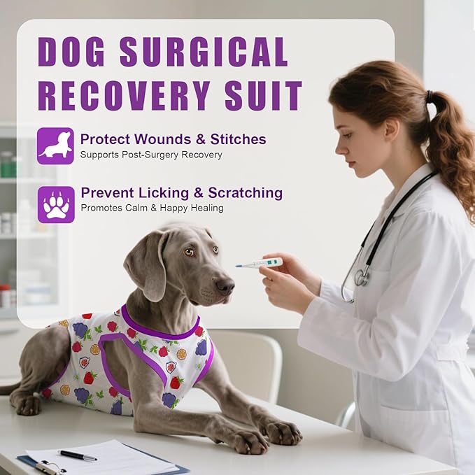 Recovery Suit for Dogs After Surgery, Professional Dog Surgical Suit for Female Spay, Male Neuter, E-Collar & Cone Alternative Dog Onesie for Abdominal Wounds Skin Disease, Purple, M