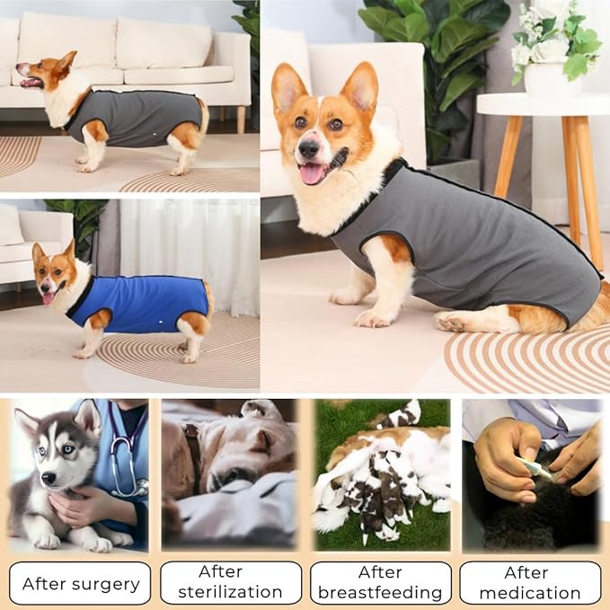 Dog Surgery Recovery Suit,Abdominal Surgical Suit for Dogs,Recovery Suit for Dogs,Prevent Licking Surgical Wound Dog Cone Alternative Grey M