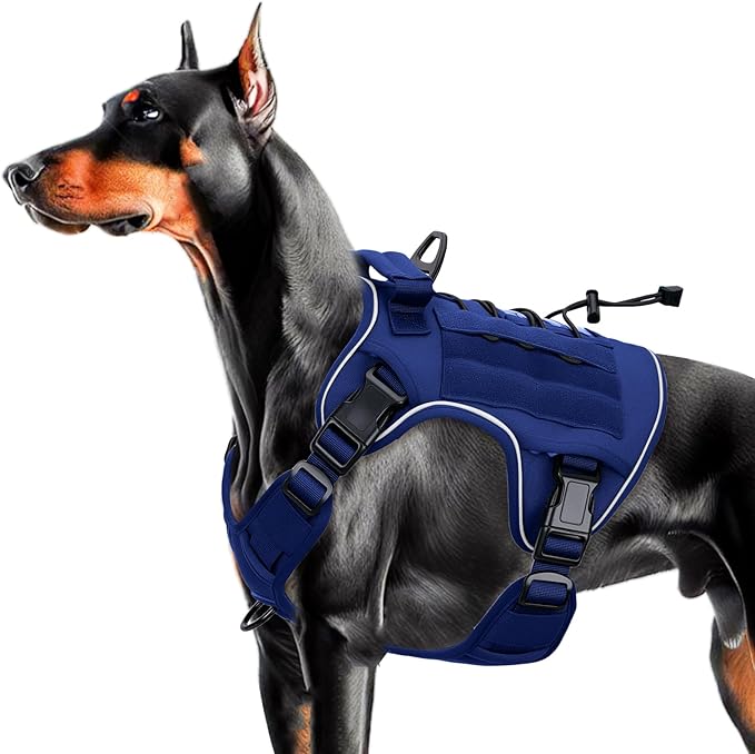 Heavy-Duty Tactical Dog Harness for Large Dogs, No Pull Adjustable Reflective Pet Vest with Molle System, K9 Military-Grade Control for Service Training, Outdoor & 10+ Breeds, Dazzling Blue, Large