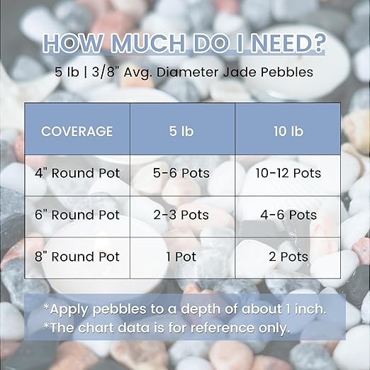 SIDONG 10 LB Natural Mixed Color Gravel Pebbles, 2/5 Inch Small Pea Gravel Stones, Decorative River Rocks for Succulents, Aquariums, Vases, Indoor Plants, Garden Landscaping, DIY