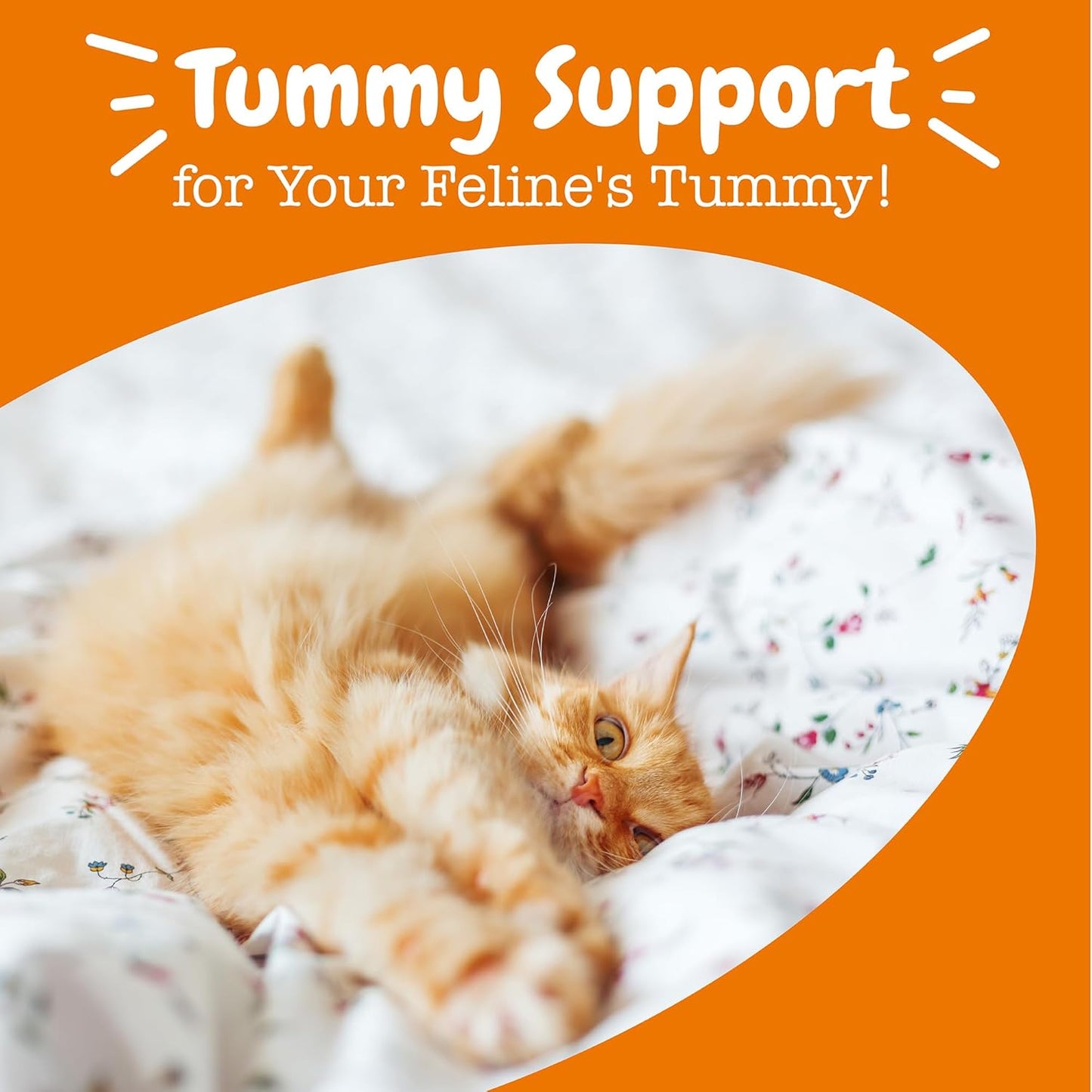 Zesty Paws Probiotics for Cats - Powder Meal Topper for Digestive, Immune System Support for Feline Biome - Premium DE111 Cat Probiotics for Digestive Health - Fiber & Yeast Extract - Pumpkin - 30 Ct