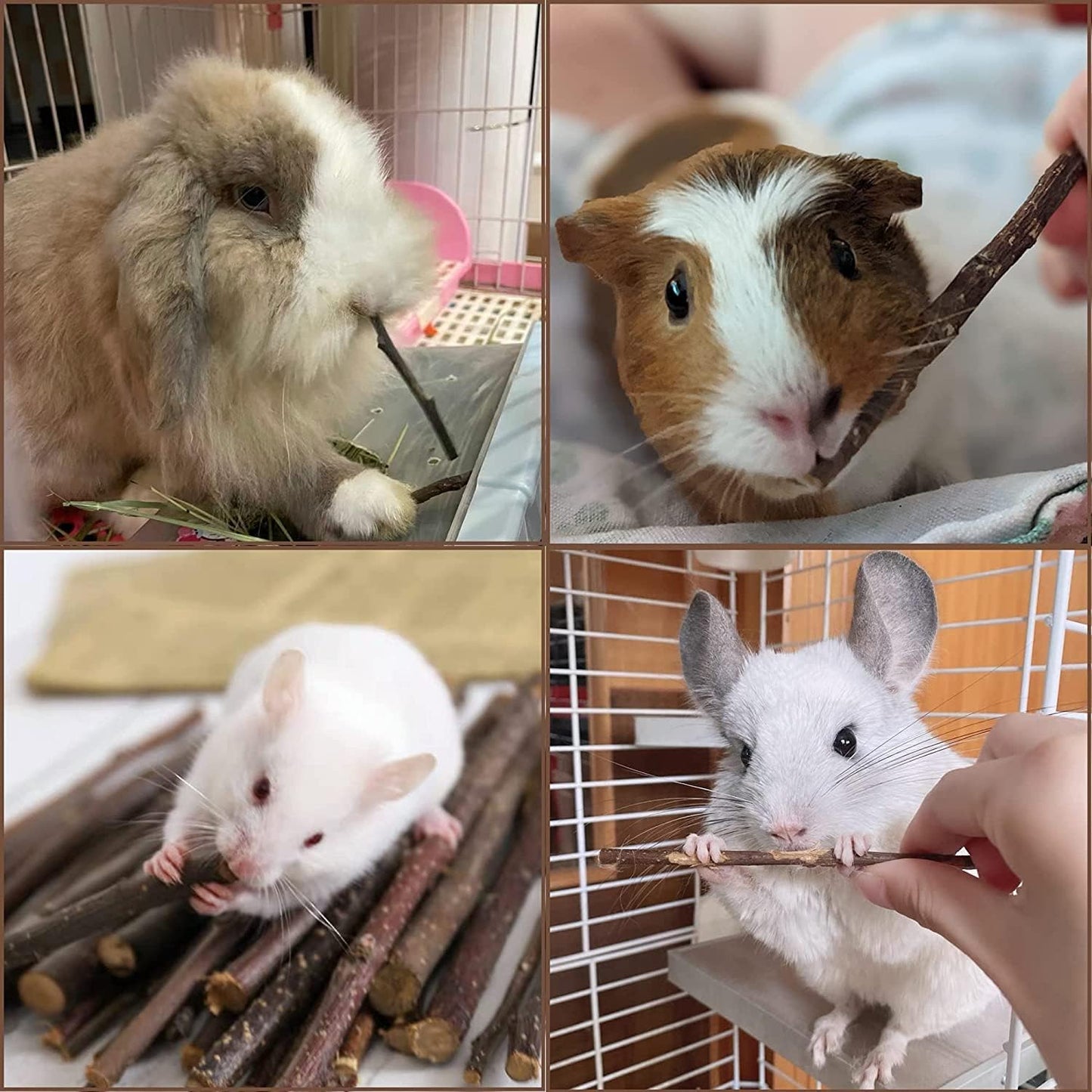 Coconut Hamster Hideout Hamster House Gerbil Cage for Small Animals with a Bundle of Apple Sticks a Carrot (Brown)