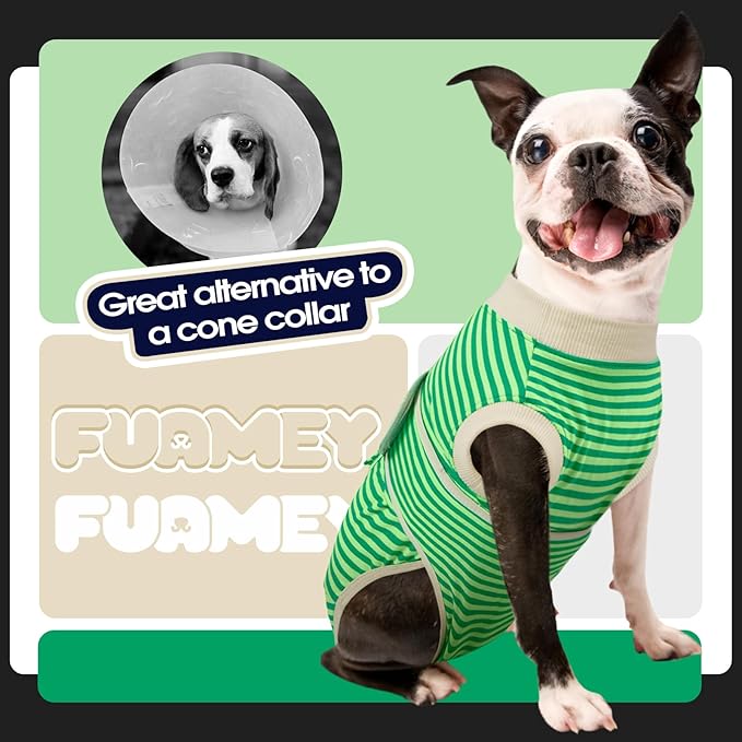 FUAMEY Dog Recovery Suit Male,Dogs Surgery Neuter Suits Puppy Spay Shirts for Female Protect Dog's Skin Anti Licking Abdominal Wounds Doggie Onesie Pet Bodysuit Alternative to Cone Green Stripes XS