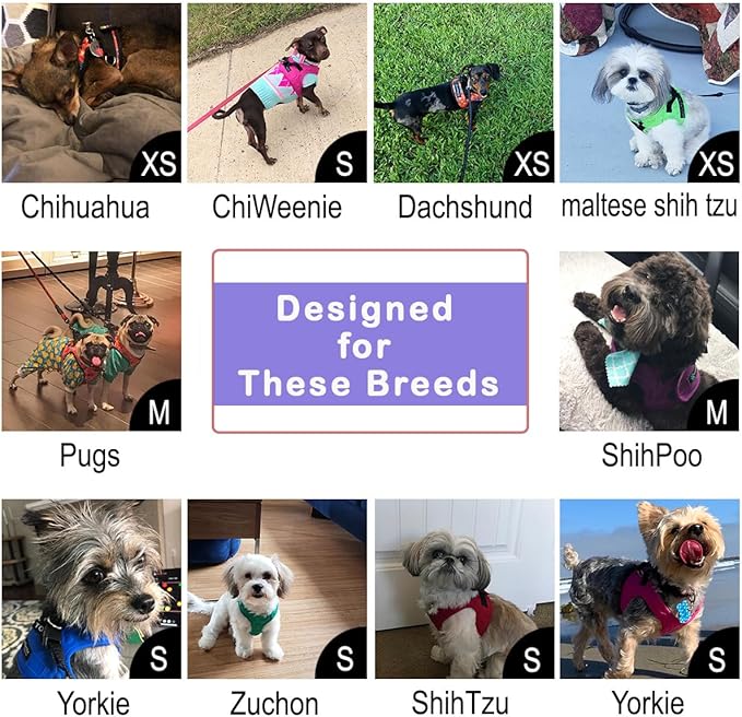 Comfort Fit Dog Harness No Pull with Adjustable Buckles Soft Padded Reflective Choke Step-in Pet Vest with Easy Control Handle for Small Medium Large Dogs & Puppies for Walking Running Training