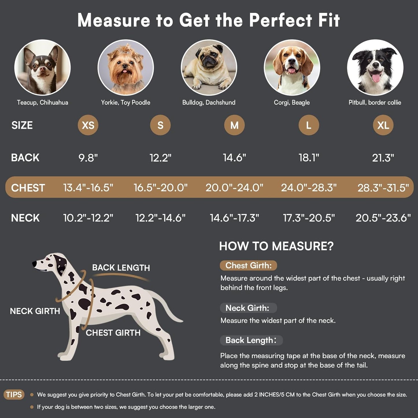 Queenmore Dog Winter Coat Warm Dog Jacket for Cold Weather, Quilting Puffer Plaid Coats for Small/Medium Dogs Waterproof,Girl/Boy Pet Christmas Coat,Pet Snowsuit with Leash Hole/Fleece Padding, XS