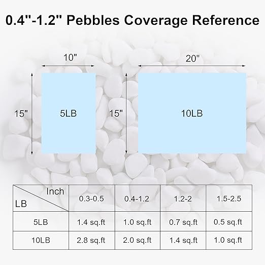 SIDONG 10 LB White River Rocks, 0.4-1.2 Inches Matte Pebbles for Indoor Plants, Aquarium Rocks Used in Fish Tank, Decorative Stones for Plants, Vases, Home Décor, Crafting, Garden Landscaping